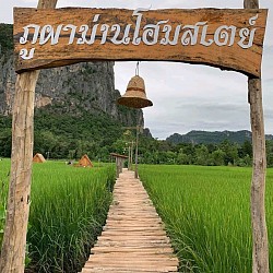 เรียกรถโทร 095-3569931